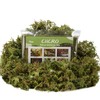 CIICRO Moss for Plants Indoor, 8OZ Faux Moss for Crafts,