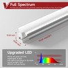 Vshape T8 Grow Light for Indoor Plants, 2FT, 24W, 5000K,