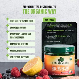 USDA Organic Pre-Workout Powder, Lemon Berry | Clean Energy Without Jitters | Natural Performance Boost | No Artificial Sweeteners | 20 Superfoods | Low Caffeine, 20 Servings