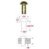 5/32" X 5/8" Solid Brass Round Head Rivet, .279 Head