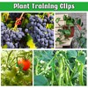 Tyqour 40Pcs Plant Clips for Climbing Plants, Adjustable Lst Clips