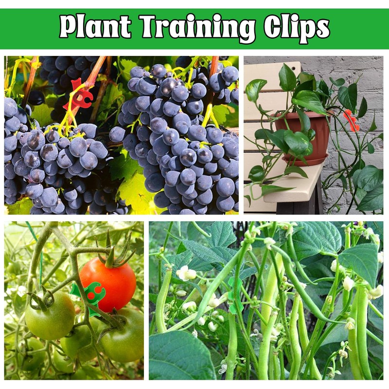 Tyqour 40Pcs Plant Clips for Climbing Plants, Adjustable Lst Clips