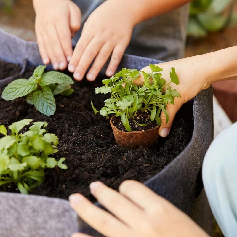 Back to the Roots Organic & Plantable Seed Starting Pots