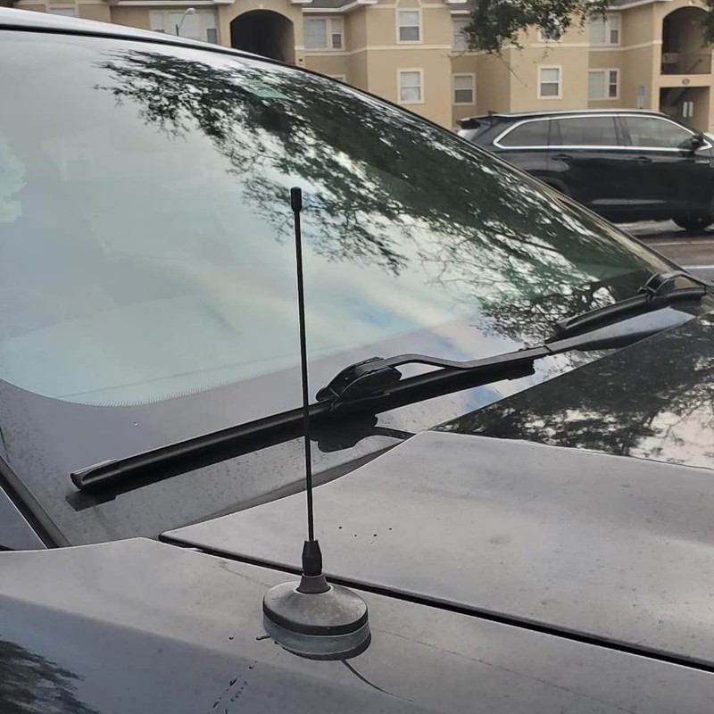 Julight Antena Ford Mustang de 8 Pulgadas
