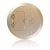 Leviton FBC1F-B Concrete Floor Box Brass Plated Cover Plate, 1