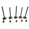 Engine Intake & Exhaust Valve Kit With Stem Seal Fits