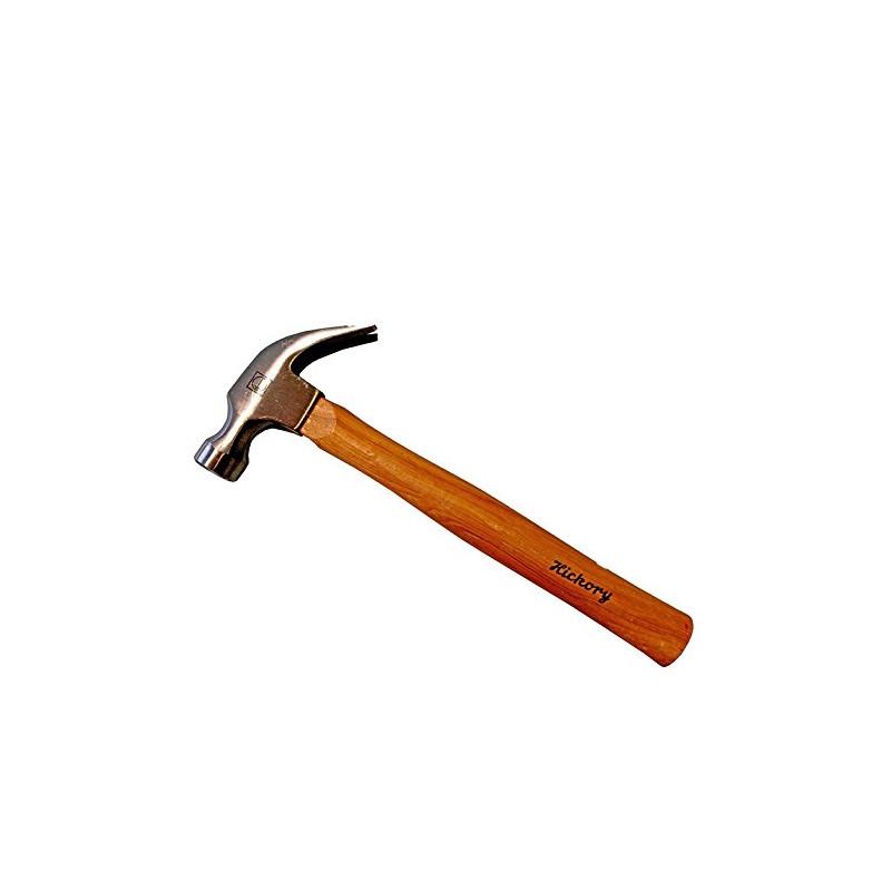 Ruthe 3002938019 VPA/GS Claw Hammer with Hickory Handle, Multi-Colour