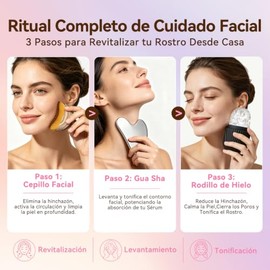 3PCS Kit de skincare, con GuaSha Acero Inoxidable, Cepillo Facial y Rodillo de Hielo para Contorno, Drenaje Linfático, Desinflamar y Piel Firme, Rutin