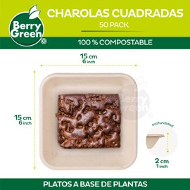 Berry Green 50 Platos Compostables, Charolas Cuadradas 100% Biodegradables, Material de Alta Calidad, Resistente a Líquidos, Hecho de Fibras de Caña de Azúcar de 15.3 cm (6 Pulgadas) Color Natural