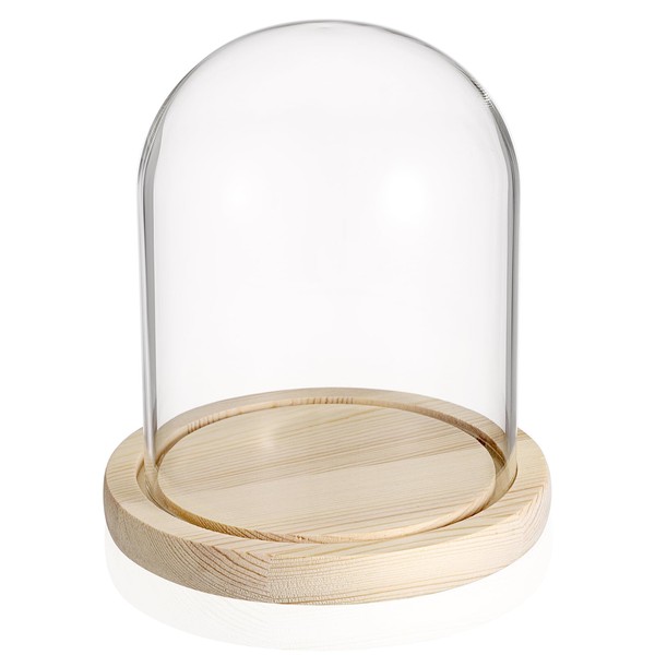 SUMNACON Glass Display Cloche Dome with Wooden Base, Decorative Clear Display Bell Jar Glass Cover Dome Cloche Showcase for Plant, Collection, Toy, Crystal