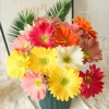 Cutefornia Artificial Real Touch Gerbera Barberton Daisy Stems (Set of