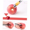 BIUDECO 3Pcs Stainless Steel Fruit Corer Portable Core Remover Tools