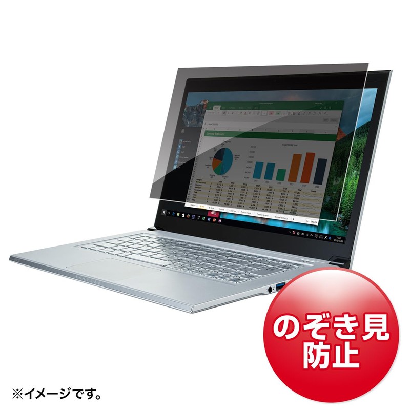 Sanwa Supply CRT-PFNG160W 16" Wide (16:10) Privacy Filter
