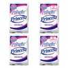 Princesa 4 Pack POLVO PRINCESA SIN CLORO QUITAMANCHAS LAUNDRY SOAP