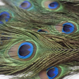 VoilaLove 100pcs Natural Peacock Feathers with Eye Peacock Tail Feathers 10-12inch (25-30cm) for Wedding Party Arts And Crafts Home Decorations