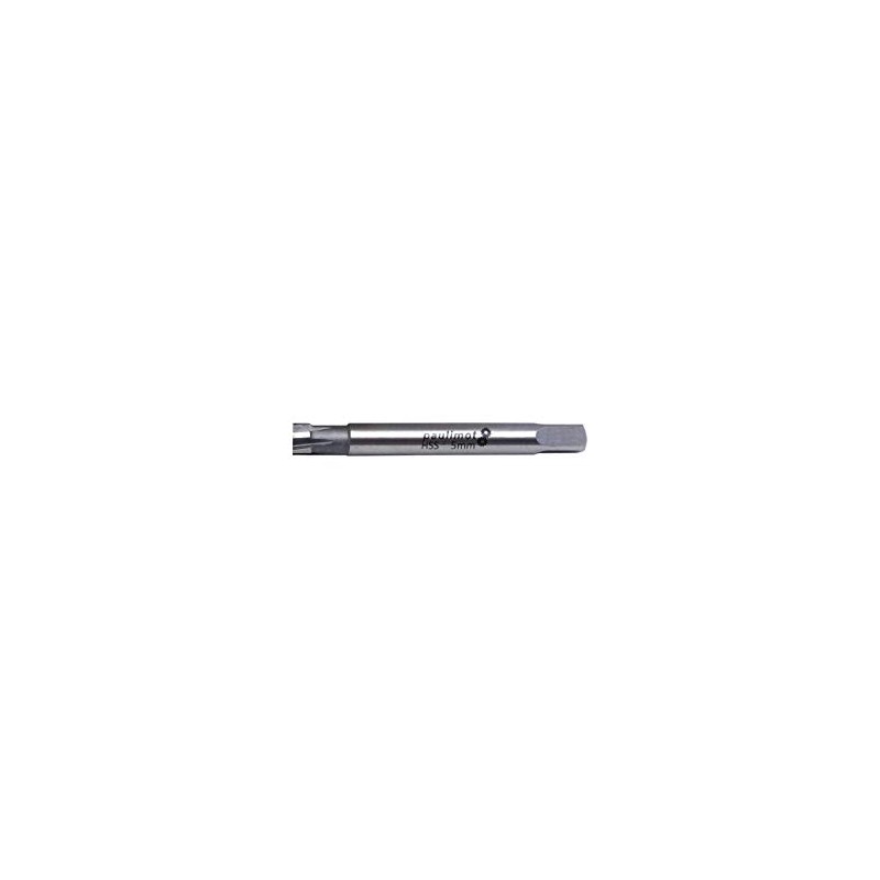 PAULIMOT HSS Hand Reamer 5 mm Fit H7