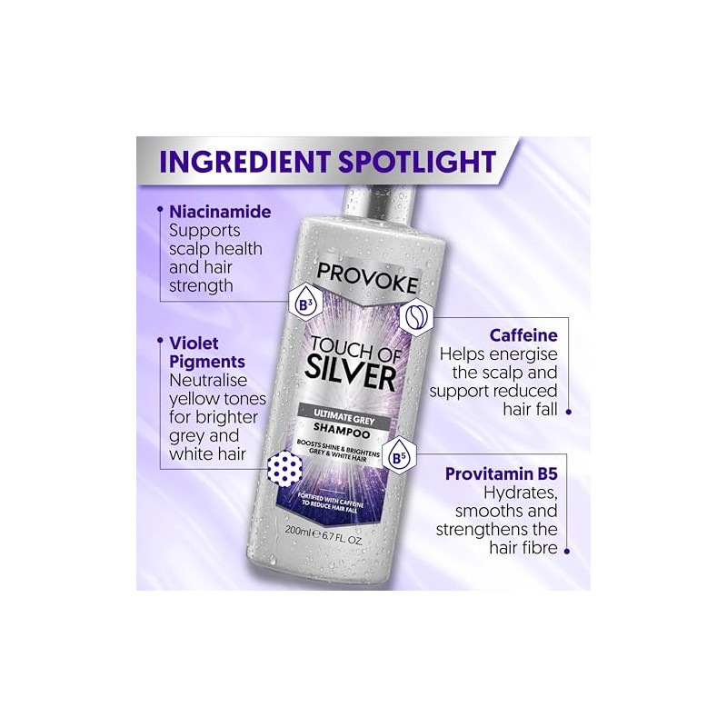 Provoke Touch of Silver Shampoo 200ml | For silver, white