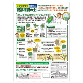 Hanagokoro House Plant Soil 6.6 gal (2 L)