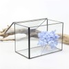 Lvpage Rectangle Geometric Glass Terrarium Planter Decor Box Handmade Flower