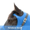 RESISTANCE Premium Hood Pull On-Face With Forelock Saver - Horse