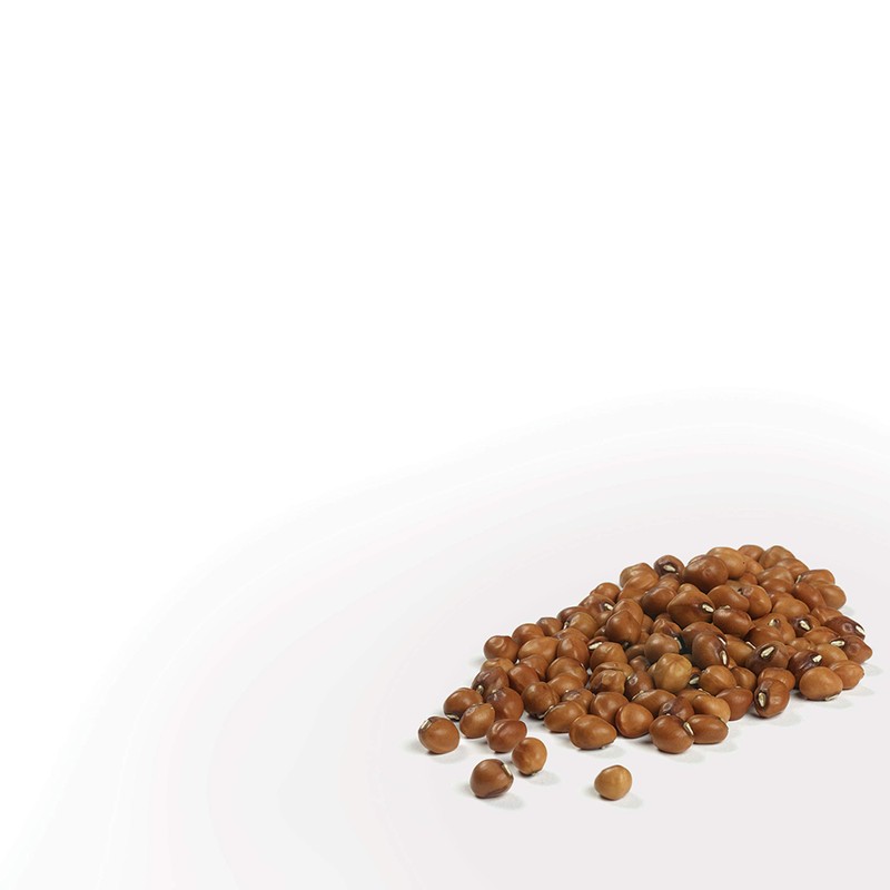 Camellia Brand Dried Crowder Peas, 1 Pound (Pack of 2)