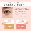 ettusais Skin Fit Cover Concealer, All Purpose Beige/Dark Coral for