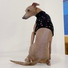 Itagre Clothes Alphabet Cropped Tops Short T Shirt Small Dogs