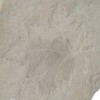 Benjara Concrete Fossil Accent Stone with Maple Leaf Imprint, White,