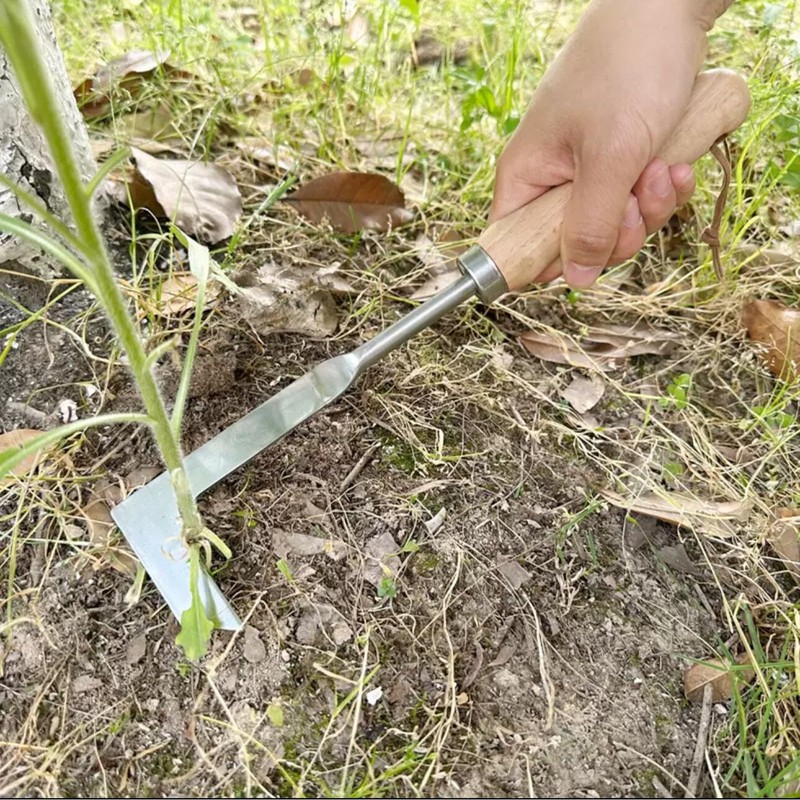 NEISRAI Crack Weeder Garden Crevice Weeding Tool Wood Handle Driveway