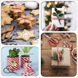 FOGAWA 200 m Red and White Twine 2 mm Bakers Cord Cotton Yarn Black Craft Cord Cotton Cord for Baking Meat Serving Crafts Gifts Wrapping 2 Rolls