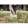 FLOR DE LA PAZ Pureza, infusión herbal orgánica de manzanilla,