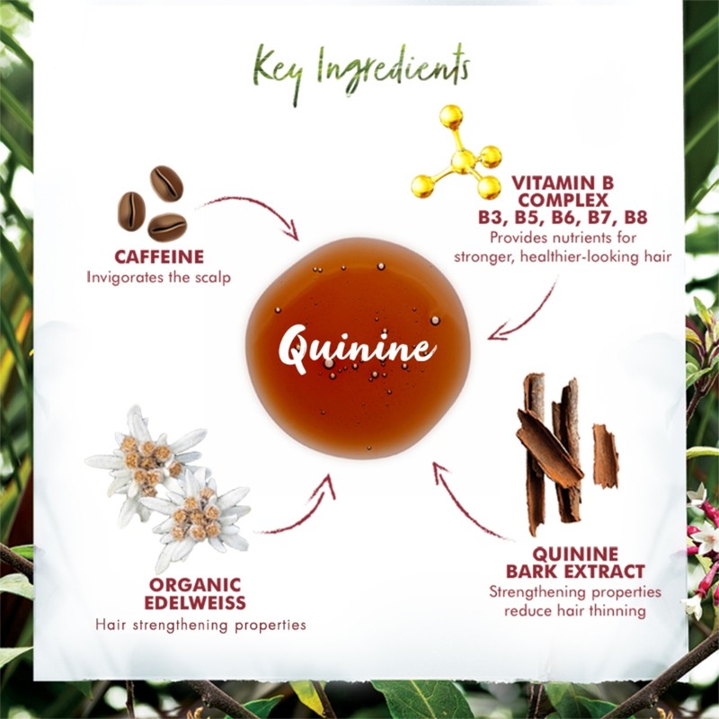 KLORANE [ANTI-HAIR LOSS] Quinine Shampoo (400ml) - For Thinning Hair