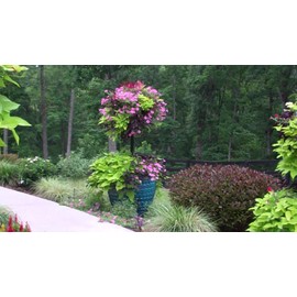 Kinsman Basket Column for Large Pots for use with Pamela Crawford Baskets