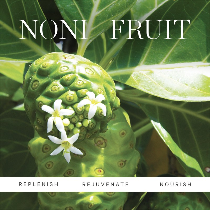 KORA Organics Noni Radiant Eye Oil 10ml