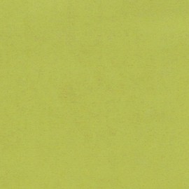 Blazing Needles Solid Microsuede Papasan Chair Cushion, 48" x 6" x 48", Mojito Lime