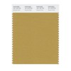 PANTONE Smart 16-1133X Color Swatch Card, Mustard Gold