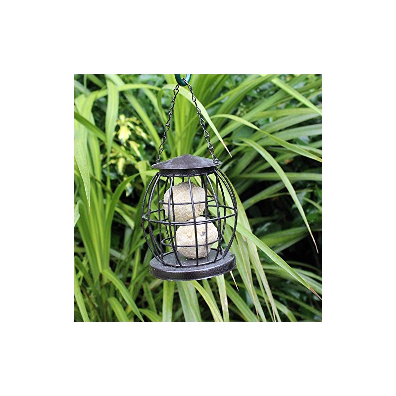 Natures Market BF043 Squirrel Resistant Suet Ball Feeder