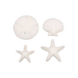 POSH BOXX Summer Ocean  Sugar Top Decor - Sand dollar, Shells, Starfish - White, 24 pk