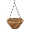 Topiary Art Works 16" (Inside Diameter) Sphagnum Moss Hanging Basket