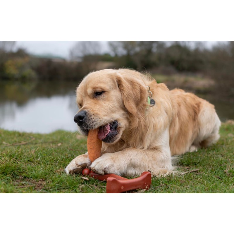 Bamboodles Salmon Chew Toy - for puppies and non aggressive
