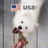 Benebone Wishbone Durable Dog Chew Toy for Aggressive Chewers, Real