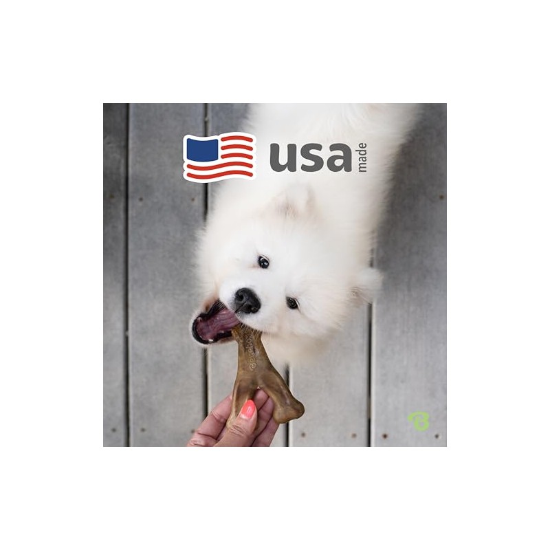 Benebone Wishbone Durable Dog Chew Toy for Aggressive Chewers, Real