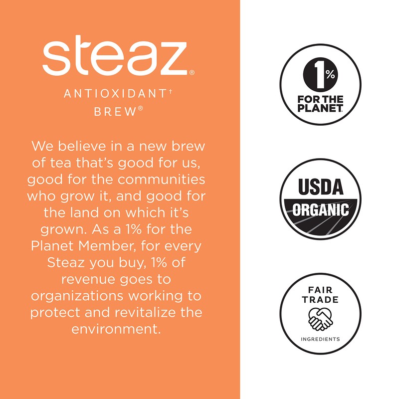 Steaz Organic Iced Green Tea Antioxident Brew, Peach, 16 Fl