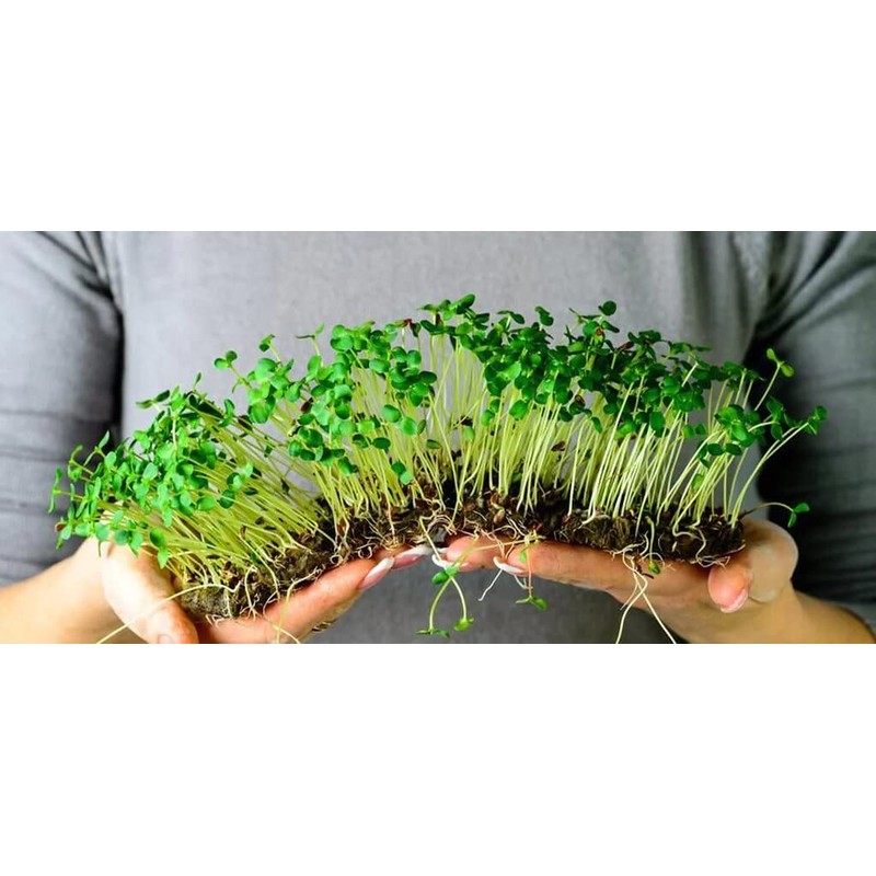 Gardenera Organic Microgreens Potting Mix: Hand-Mixed with Care Using Top-Grade