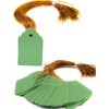 HomeTools.eu® 100 Plant Tags with String, Weatherproof, Plastic, 3.5 x
