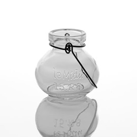 Richland Vintage Jar Mini Hanging Glass Vase Set of 12