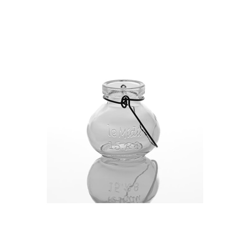 Richland Vintage Jar Mini Hanging Glass Vase Set of 12
