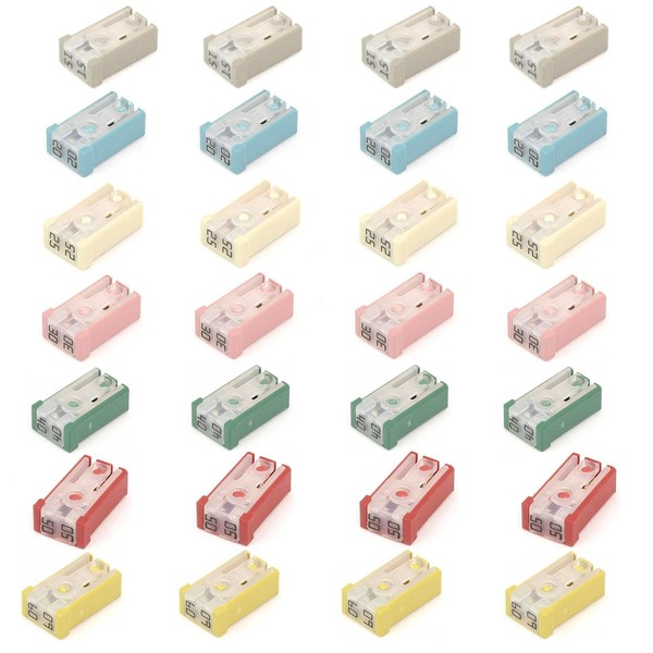 28 Pcs 15A 20A 25A 30A 40A 50A 60A 32V
