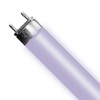 Helios 6 Pack T5 Bulb 24W Aquarium Light Bulb HO