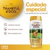 Shampoo De Avena Thankful Dog 400ml, color, 400 ml, pack